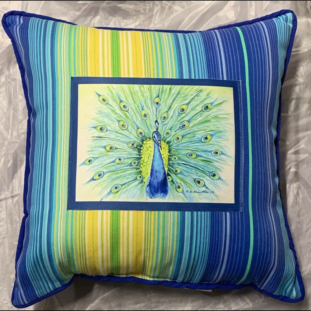 New Peacock stripe indoor outdoor pillow 16” x 16”